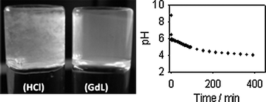 Graphical abstract: A new method for maintaining homogeneity during liquid–hydrogel transitions using low molecular weight hydrogelators