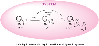 Graphical abstract: Constitutional dynamic systems of ionic and molecular liquids