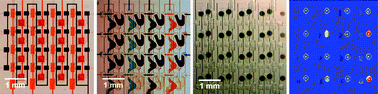 Graphical abstract: Microfluidic chip for combinatorial mixing and screening of assays