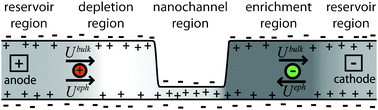 Graphical abstract: Theory and experiments of concentration polarization and ion focusing at microchannel and nanochannel interfaces