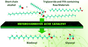 Graphical abstract: Heterogeneous acid catalysts for biodiesel production: current status and future challenges