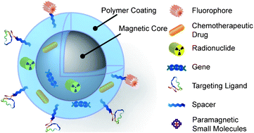 Graphical abstract: Multifunctional magnetic nanoparticles for medical imaging applications
