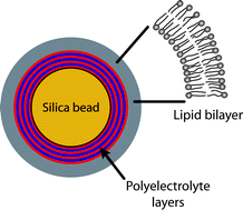 Graphical abstract: Characterization of lipid bilayers adsorbed on spherical LbL-support