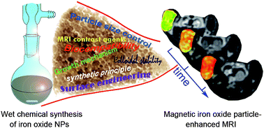 Graphical abstract: Superparamagnetic iron oxide nanoparticles: from preparations to in vivo MRI applications