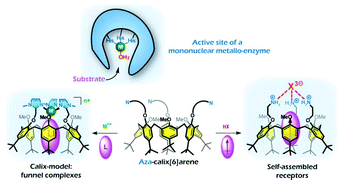 Graphical abstract: Biomimetic and self-assembled calix[6]arene-based receptors for neutral molecules