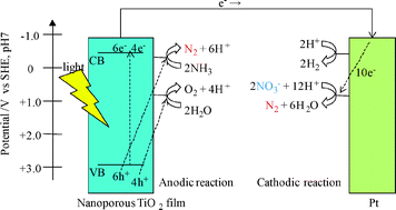 Graphical abstract: Photoelectrochemical conversion of NO3− to N2 by using a photoelectrochemical cell composed of a nanoporous TiO2 film photoanode and an O2 reducing cathode