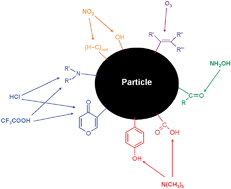 Graphical abstract: The use of heterogeneous chemistry for the characterization of functional groups at the gas/particle interface of soot and TiO2nanoparticles