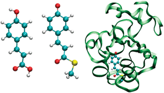 Graphical abstract: Chemical and protein shifts in the spectrum of the photoactive yellow protein: a time-dependent density functional theory/molecular mechanics study