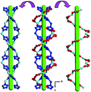 Graphical abstract: Interweaving of single-helical and equal double-helical chains with the same helical axis in a 3D metal–organic framework