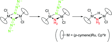 Graphical abstract: Synthesis of parent amido (NH2)-bridged dinuclear complexes of ruthenium and iridium by stepwise transfer hydrogenation of μ-azido complexes