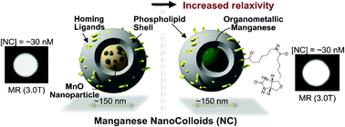 Graphical abstract: Sensitive and efficient detection of thrombus with fibrin-specific manganese nanocolloids