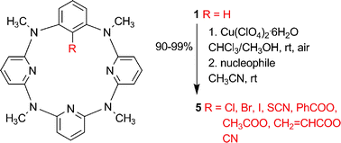 Graphical abstract: Room-temperature aerobic formation of a stable aryl–Cu(iii) complex and its reactions with nucleophiles: highly efficient and diverse arene C–H functionalizations of azacalix[1]arene[3]pyridine
