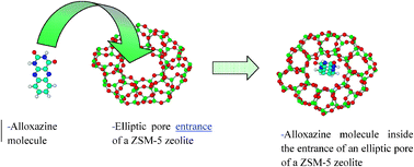 Graphical abstract: Surface photochemistry: alloxazine within nanochannels of Na+ and H+ ZSM-5 zeolites
