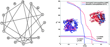 Graphical abstract: Random network behaviour of protein structures