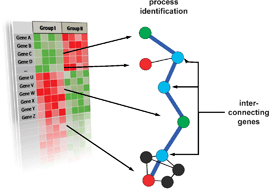 Graphical abstract: A dependency graph approach for the analysis of differential gene expression profiles