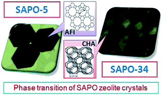Graphical abstract: Microwave assisted phase transformation of silicoaluminophosphate zeolite crystals