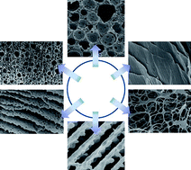 Graphical abstract: Systematic tuning of pore morphologies and pore volumes in macroporous materials by freezing