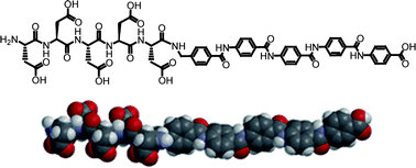 Graphical abstract: A facile synthesis of aramide–peptide amphiphiles
