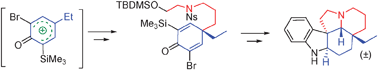 Graphical abstract: Concise total synthesis of (±)-aspidospermidinevia an oxidative Hosomi–Sakurai process