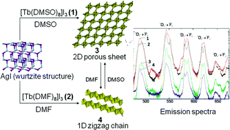 Graphical abstract: Lanthanide complexes in hybrid halometallate materials: interconversion between a novel 2D microporous framework and a 1D zigzag chain structure of iodoargentates templated by octakis-solvated terbium(III) cation