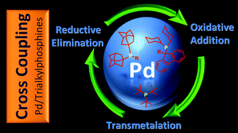 Graphical abstract: Sterically demanding trialkylphosphines for palladium-catalyzed cross coupling reactions—alternatives to PtBu3