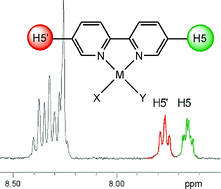Graphical abstract: 1H NMR spectroscopic identification of binding modes of 2,2′-bipyridine ligands in complexes of square-planar d8 metal ions