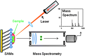 Graphical abstract: Self-assembled monolayer-assisted mass spectrometry