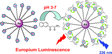 Graphical abstract: Lanthanide luminescent gold nanoparticles: pH-driven self-assembly formation between Eu(III)-cyclen conjugated AuNPs and sensitising β-diketonate antenna in water