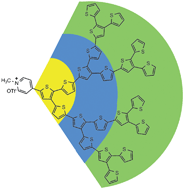 Graphical abstract: Core-functionalized dendritic oligothiophenes—novel donor–acceptor systems