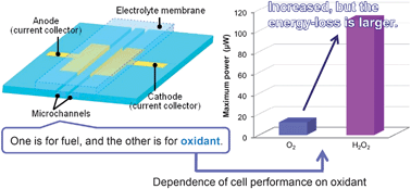 Graphical abstract: On-chip direct methanol fuel cells of a monolithic design: consideration on validity of active-type system