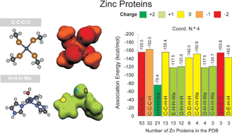 Graphical abstract: The Zinc proteome: a tale of stability and functionality