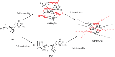Graphical abstract: Controlled polymerization and self-assembly of a supramolecular star polymer with a guanosine quadruplex core