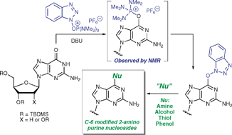 Graphical abstract: A simple method for C-6 modification of guanine nucleosides