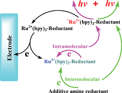 Graphical abstract: Intra- and intermolecular interaction ECL study of novel ruthenium tris-bipyridyl complexes with different amine reductants
