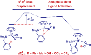 Graphical abstract: Computational and synthetic studies on the cyclometallation reaction of dimethylbenzylamine with [IrCl2Cp*]2: role of the chelating base