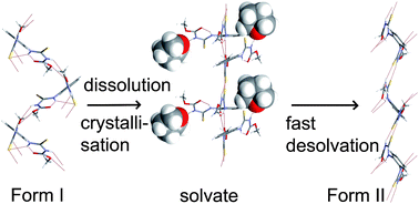 Graphical abstract: Polymorphism and versatile solvate formation of thiophanate-methyl