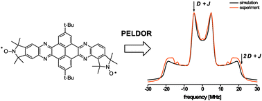 Graphical abstract: Ferro- and antiferromagnetic exchange coupling constants in PELDOR spectra