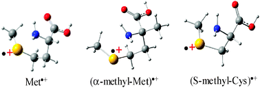 Graphical abstract: Methionine, α-methylmethionine and S-methylcysteine radical cations: generations and dissociations in the gas phase