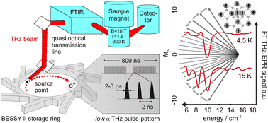 Graphical abstract: Frequency domain Fourier transform THz-EPR on single molecule magnets using coherent synchrotron radiation