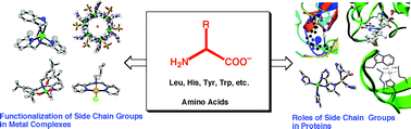 Graphical abstract: Metal complexes of amino acids and amino acid side chain groups. Structures and properties