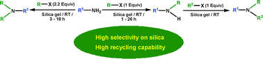Graphical abstract: Highly selective N-Alkylation of amines promoted on silica: An efficient and recyclable surface