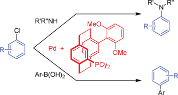 Graphical abstract: [2.2]Paracyclophane-based monophosphine ligand for palladium-catalyzed cross-coupling reactions of aryl chlorides