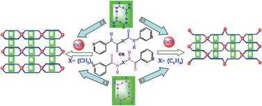 Graphical abstract: Robust hydrogen bonding synthon in one-dimensional and two-dimensional coordination polymers of pyridine-appended reverse amides and amides