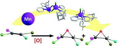 Graphical abstract: Mn(ii) complexes containing the polypyridylic chiral ligand (−)-pinene[5,6]bipyridine. Catalysts for oxidation reactions