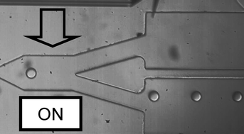 Graphical abstract: Surface acoustic wave (SAW) directed droplet flow in microfluidics for PDMS devices