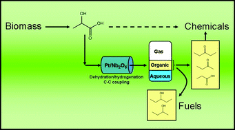Graphical abstract: Catalytic upgrading of lactic acid to fuels and chemicals by dehydration/hydrogenation and C–C coupling reactions
