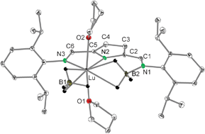 Graphical abstract: Unusual reactivity of lanthanide borohydride complexes leading to a borane complex
