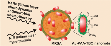 Graphical abstract: Antimicrobial gold nanorods with dual-modality photodynamic inactivation and hyperthermia