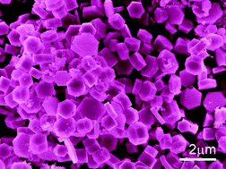 Graphical abstract: Large scaled hexagonal prismatic sub-micro sized Mg crystals by a vapor–liquid–solid process
