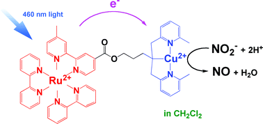 Graphical abstract: The first example of photochemical reduction of nitrite into nitrogen monoxide by a dinuclear Ru(ii)–Cu(ii) complex and photoinduced intramolecular electron transfer reaction between Ru(ii) and Cu(ii) moieties